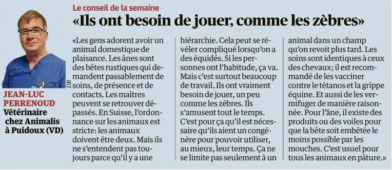 Matin Dimanche du 21 août 2022