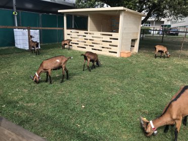 RTS Visite à la ferme de la FEVI 2019