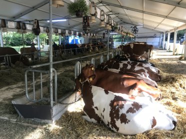 RTS Visite à la ferme de la FEVI 2019